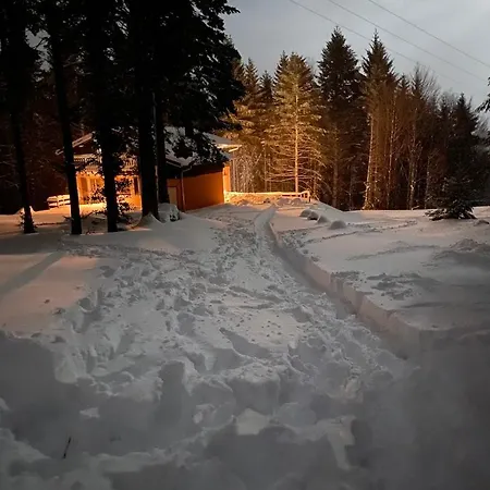 De Manu * Sondernach